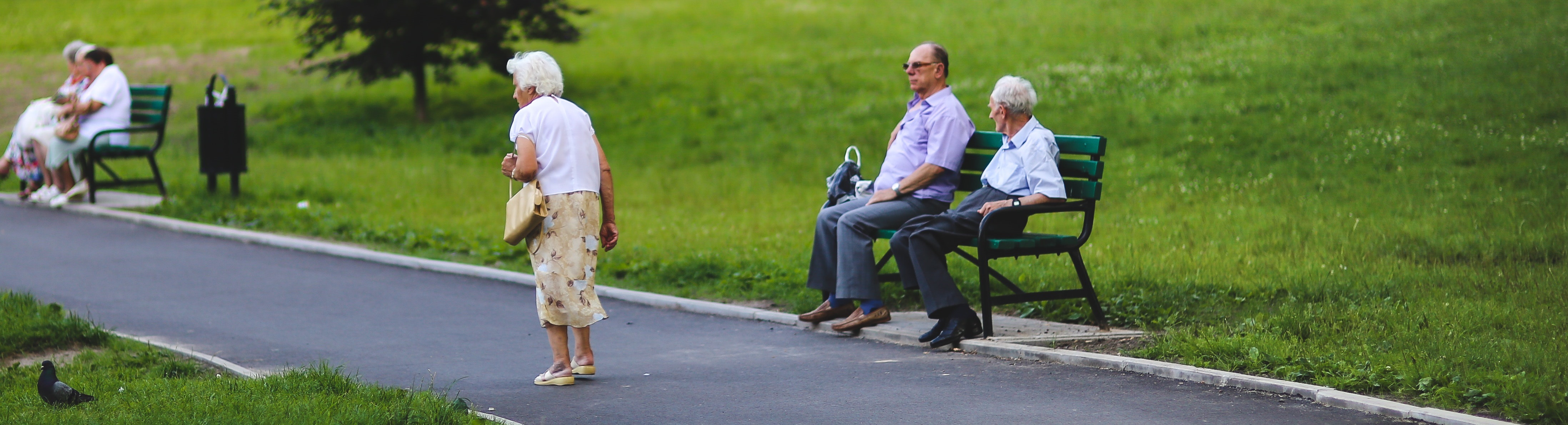 RenterInnen in einem Park